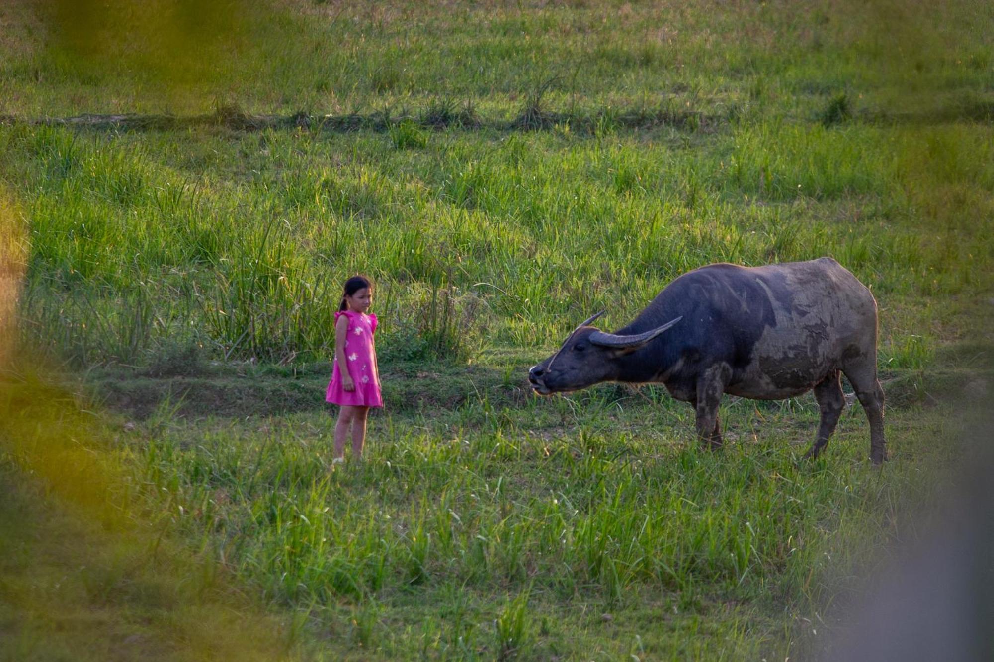 Phong Nha Farmstay Екстериор снимка