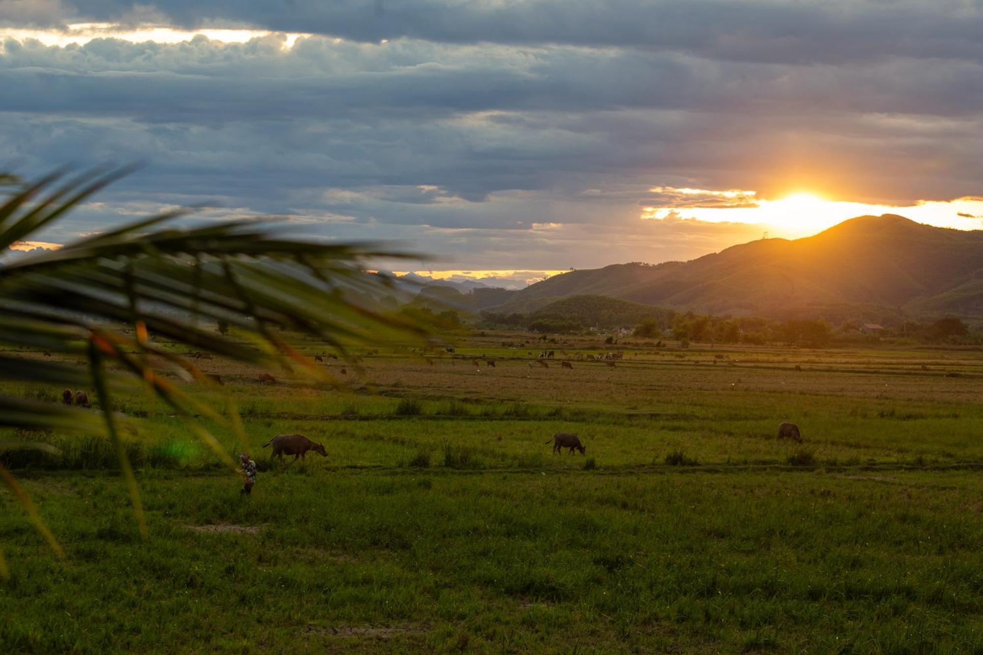 Phong Nha Farmstay Екстериор снимка